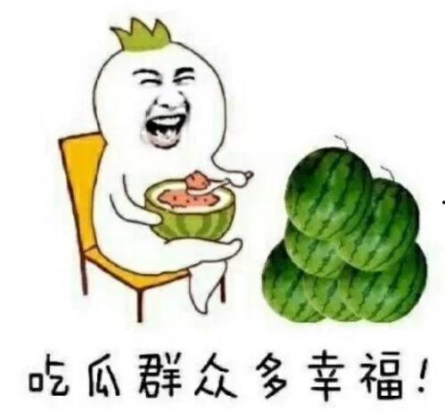 哪些地方可以娱乐圈吃瓜